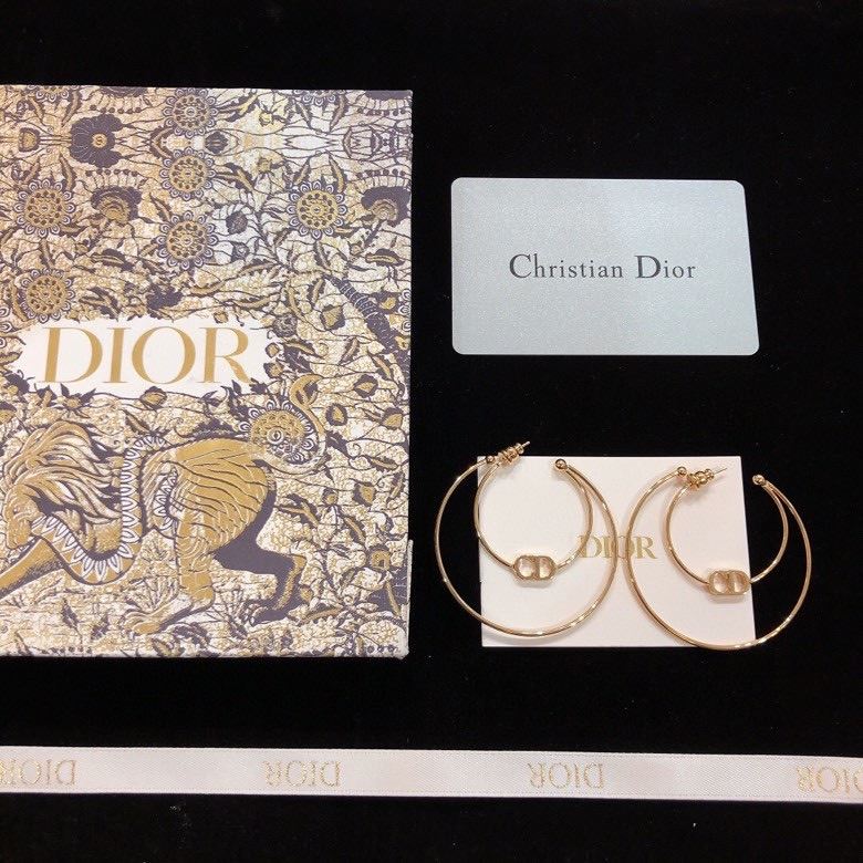 Christian Dior Earrings